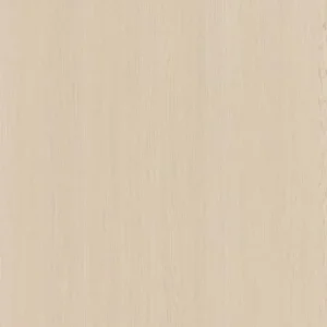Bondi Oak