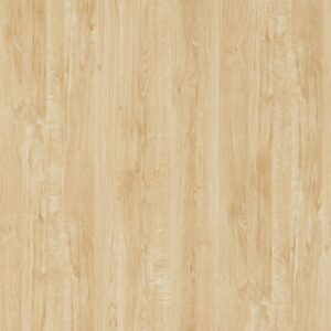 Brunswick Oak