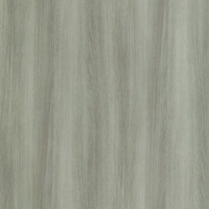Casuarina
