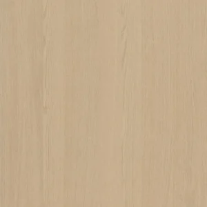 Desert Oak